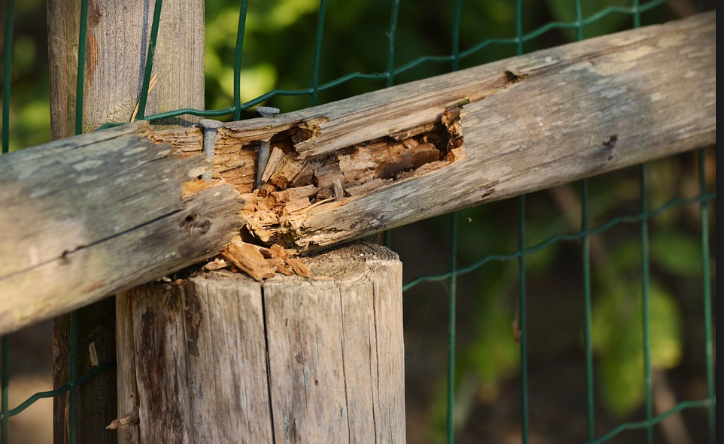 deteriorating wood fence