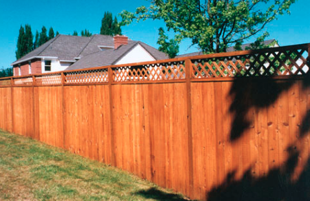 gorgeous stained and finished privacy fence